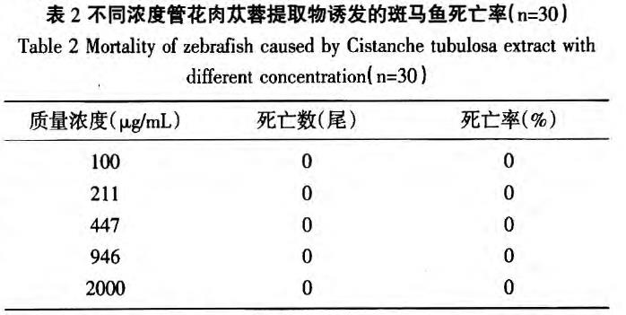肉苁蓉 www.www.y7k.org