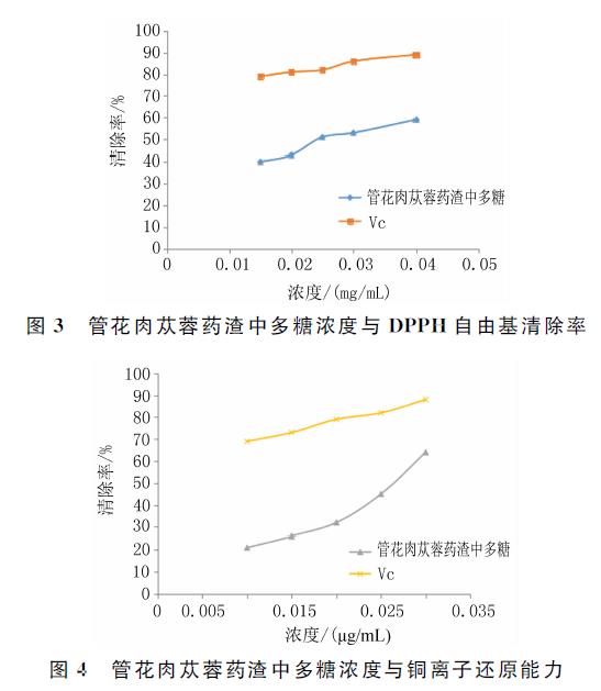 肉苁蓉 www.www.y7k.org