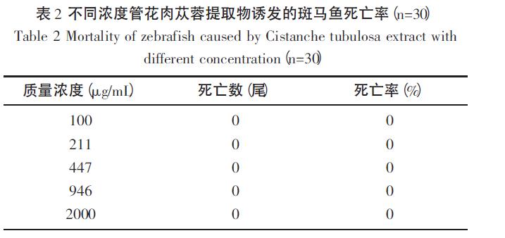 肉苁蓉 www.www.y7k.org