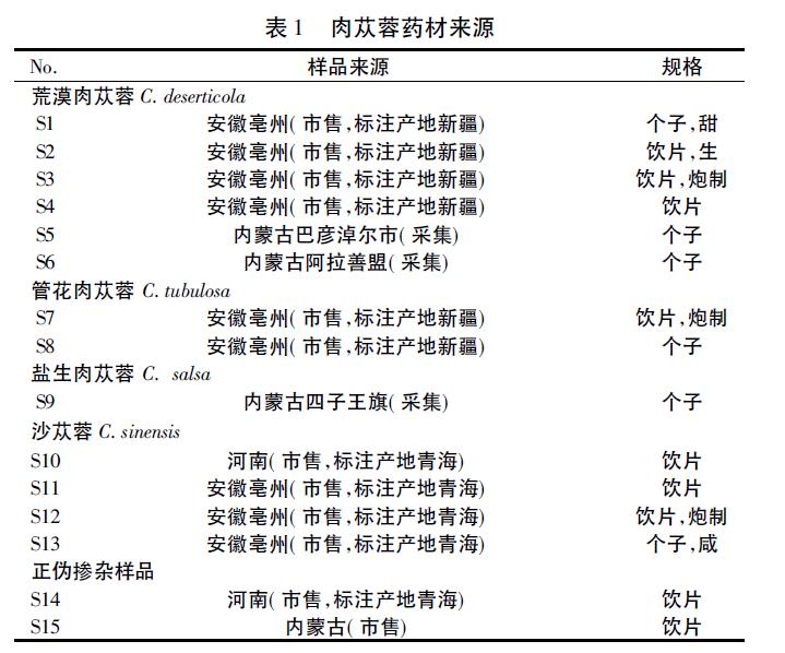 肉苁蓉 www.www.y7k.org