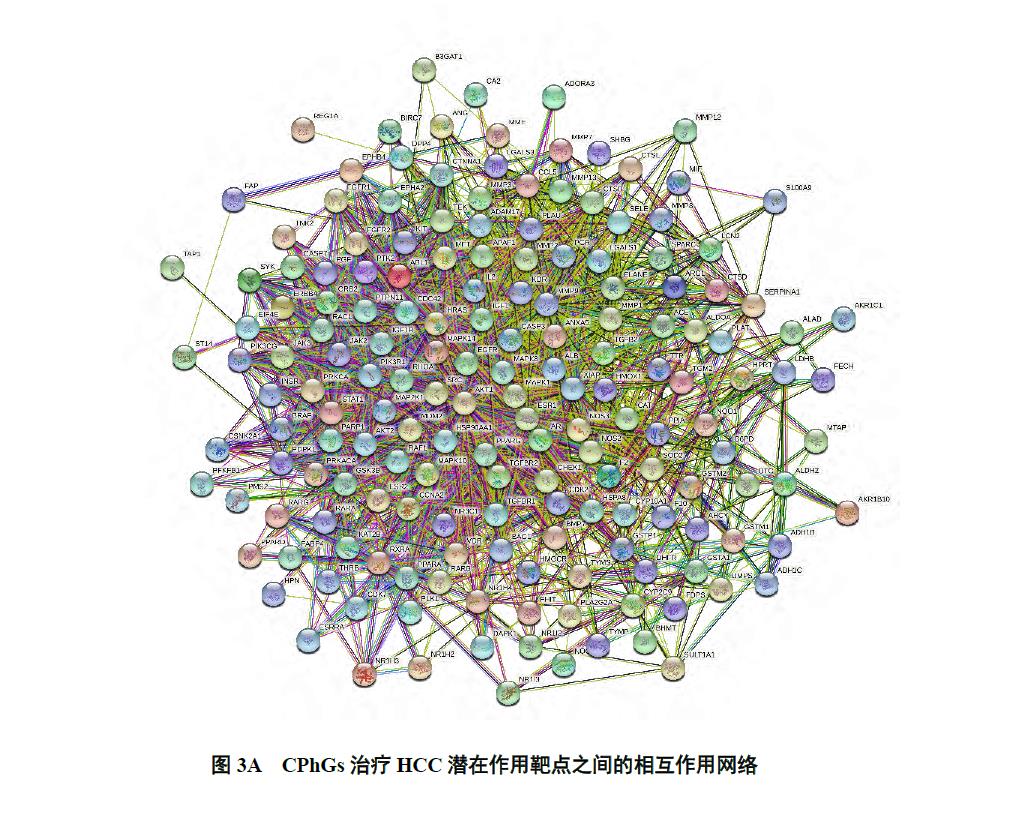 肉苁蓉 www.www.y7k.org