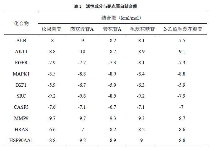 肉苁蓉 www.www.y7k.org