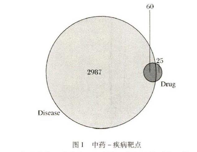 肉苁蓉 www.www.y7k.org