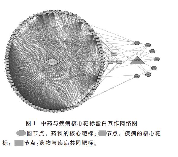 肉苁蓉 www.www.y7k.org