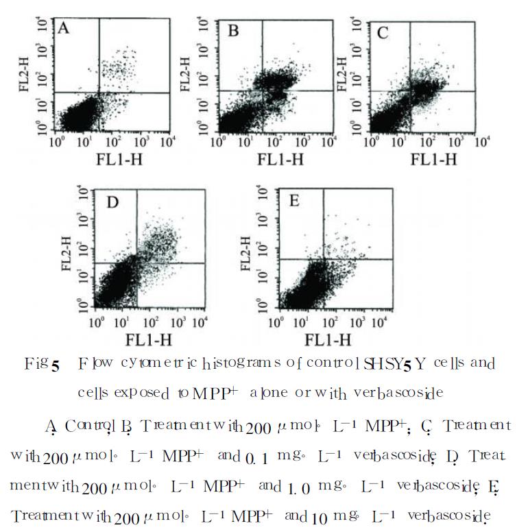 肉苁蓉 www.www.y7k.org