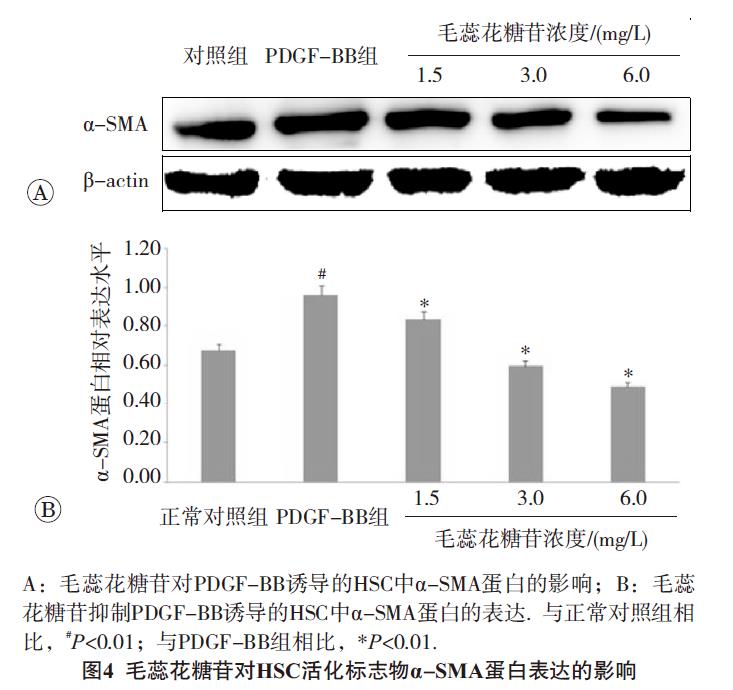 肉苁蓉 www.www.y7k.org