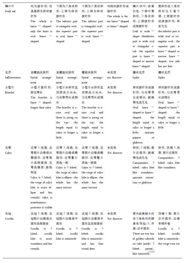 肉苁蓉 www.www.y7k.org