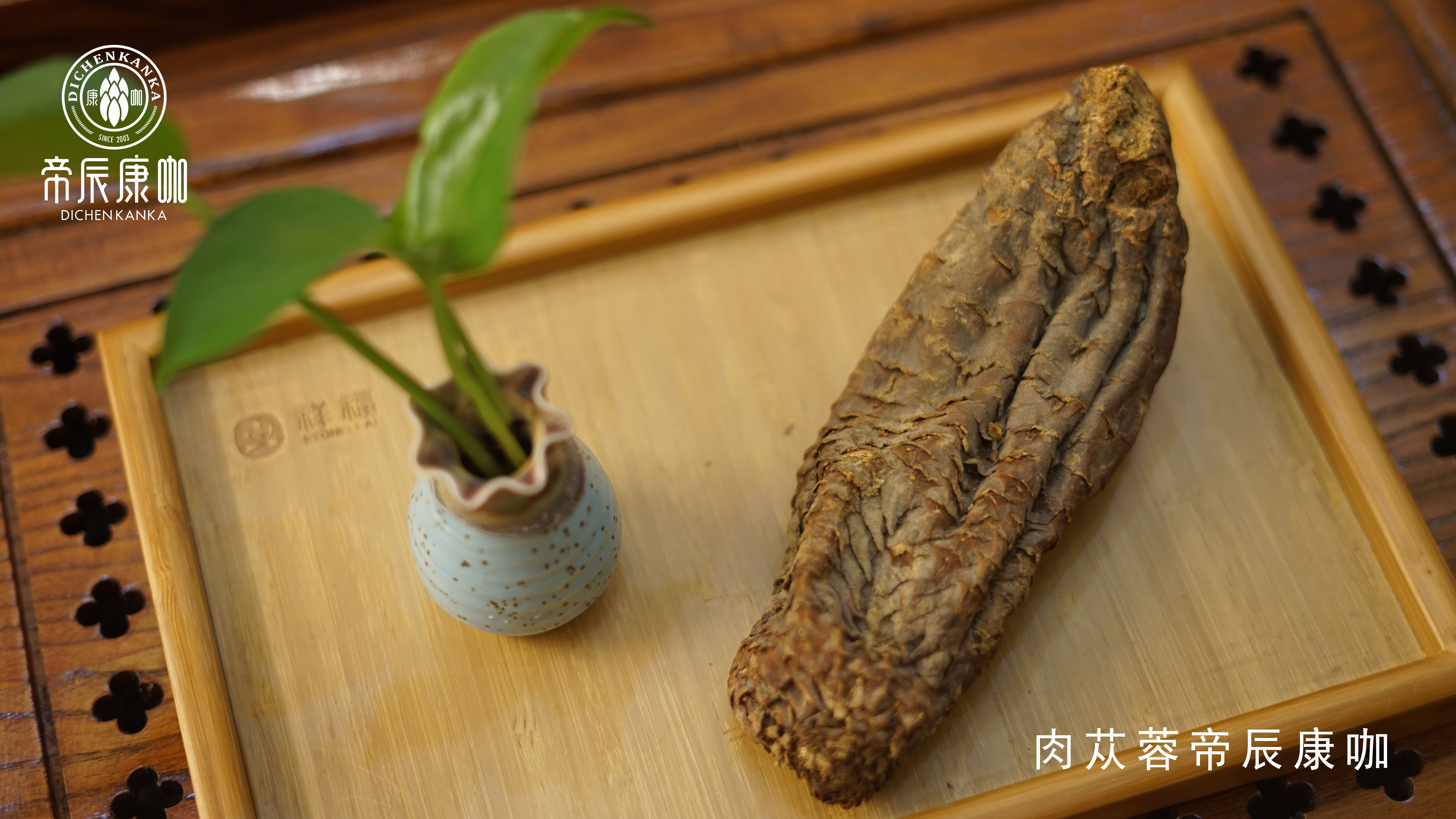 肉苁蓉 www.www.y7k.org