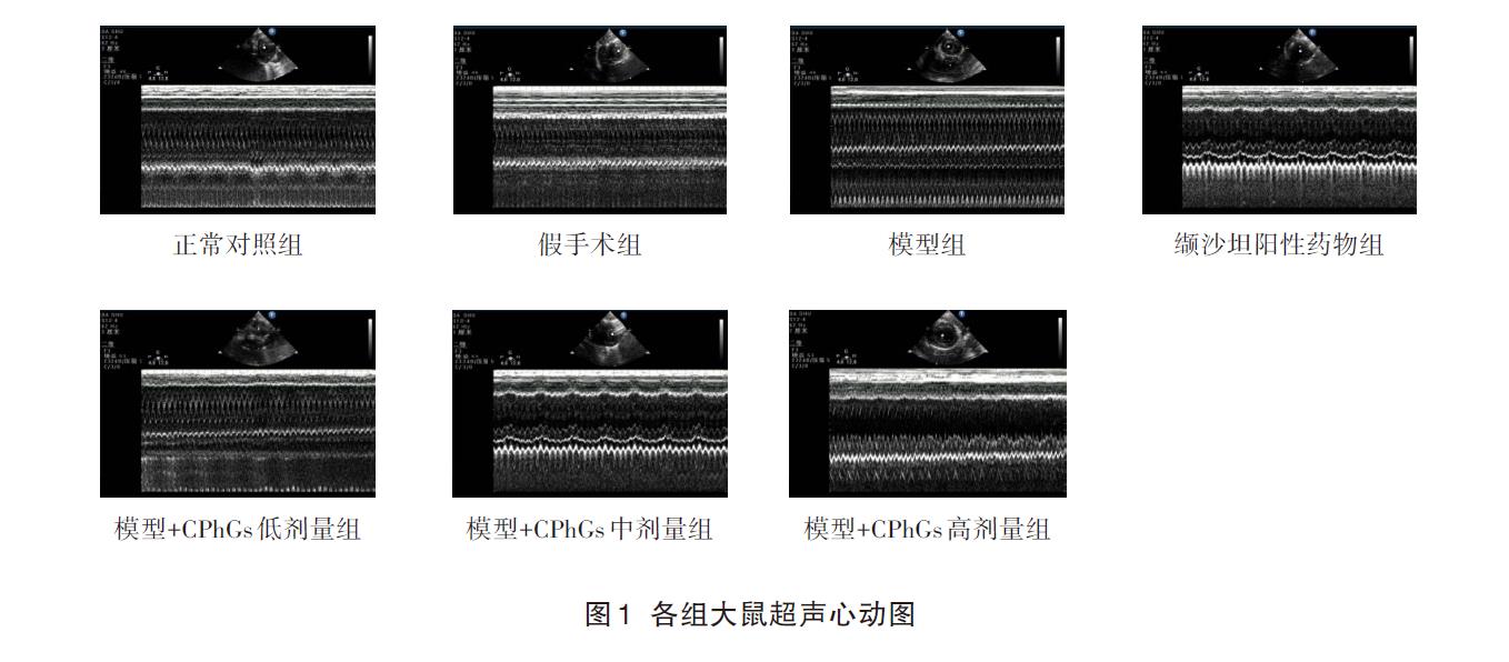 肉苁蓉 www.www.y7k.org