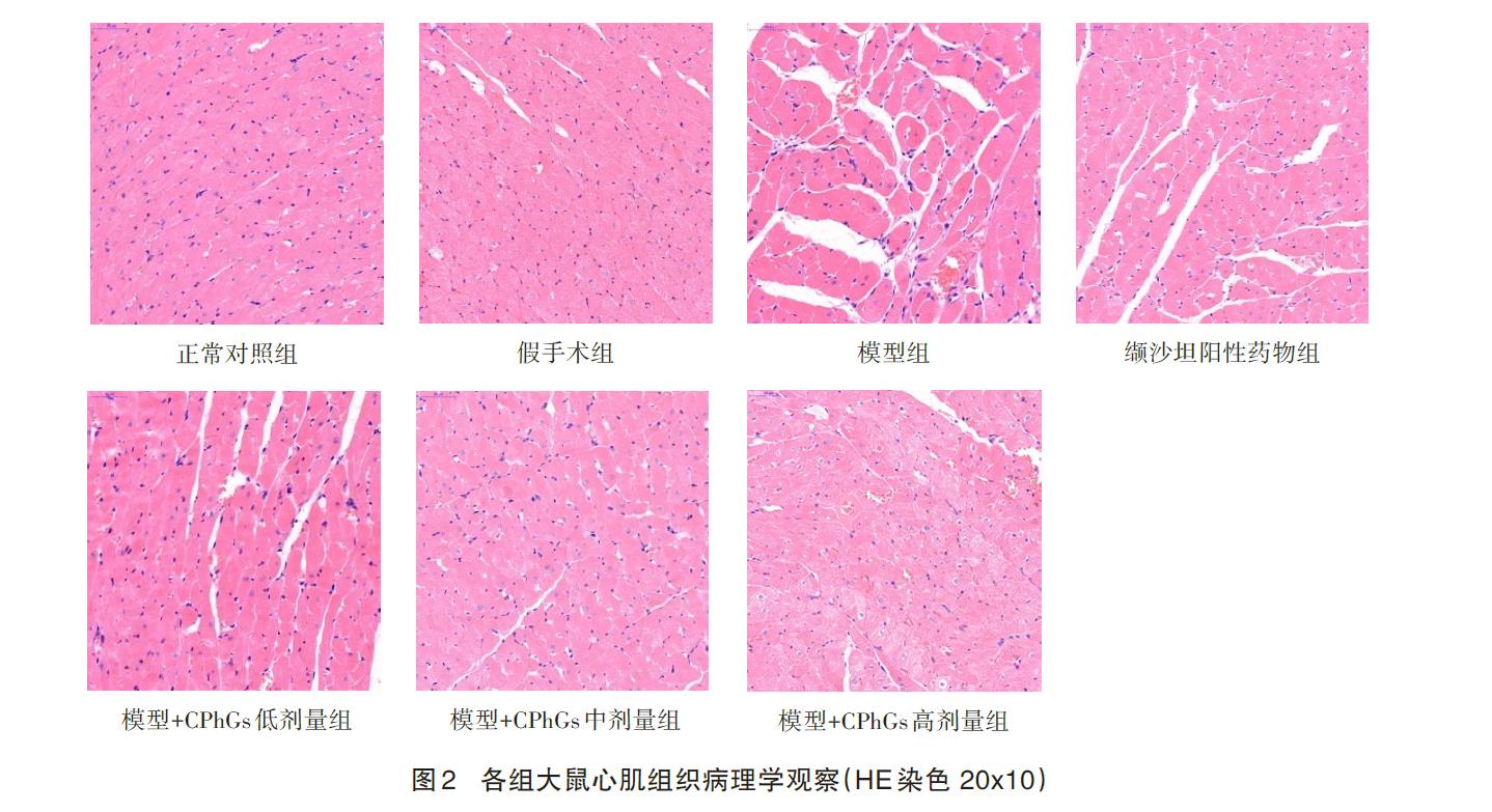 肉苁蓉 www.www.y7k.org