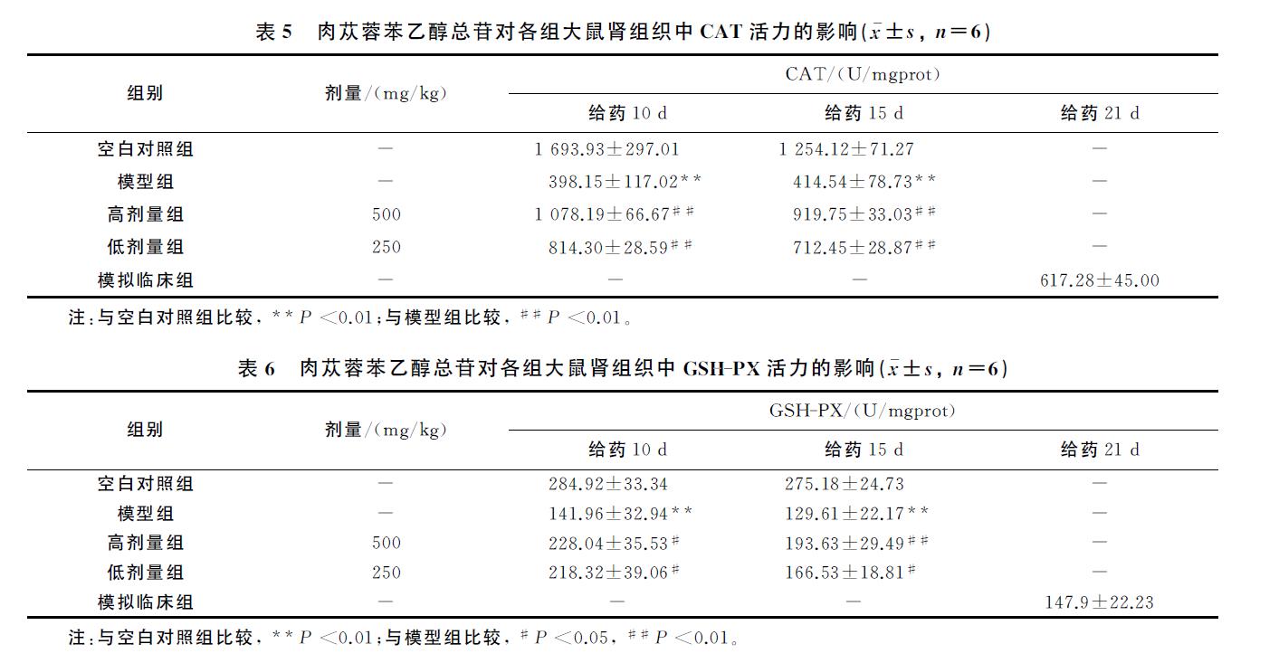 肉苁蓉 www.www.y7k.org