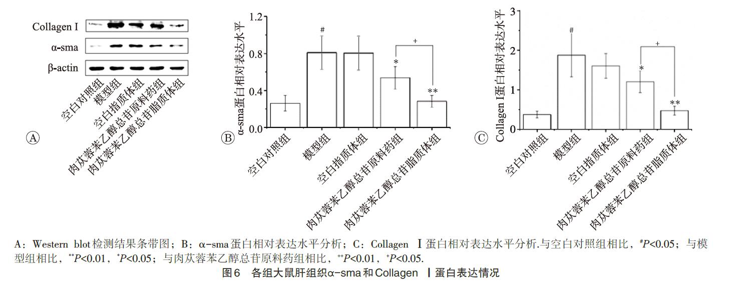 肉苁蓉 www.www.y7k.org