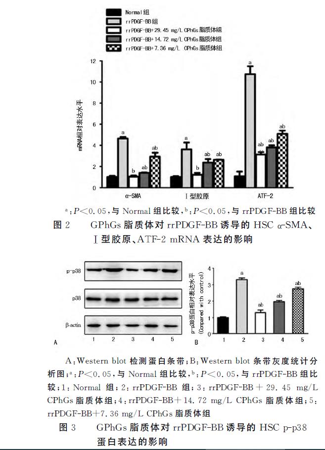 肉苁蓉 www.www.y7k.org