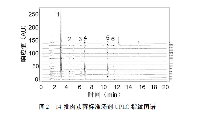 肉苁蓉 www.www.y7k.org