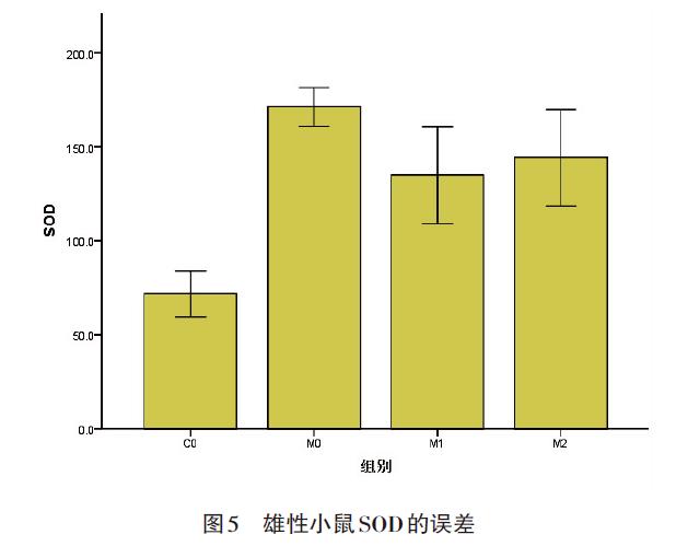 肉苁蓉 www.www.y7k.org