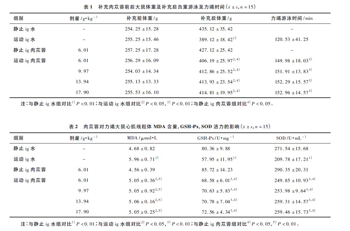 肉苁蓉 www.www.y7k.org