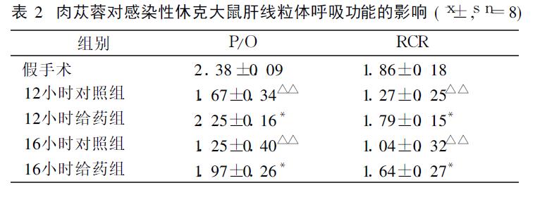 肉苁蓉 www.www.y7k.org