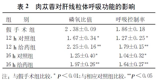 肉苁蓉 www.www.y7k.org