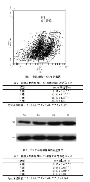 肉苁蓉 www.www.y7k.org