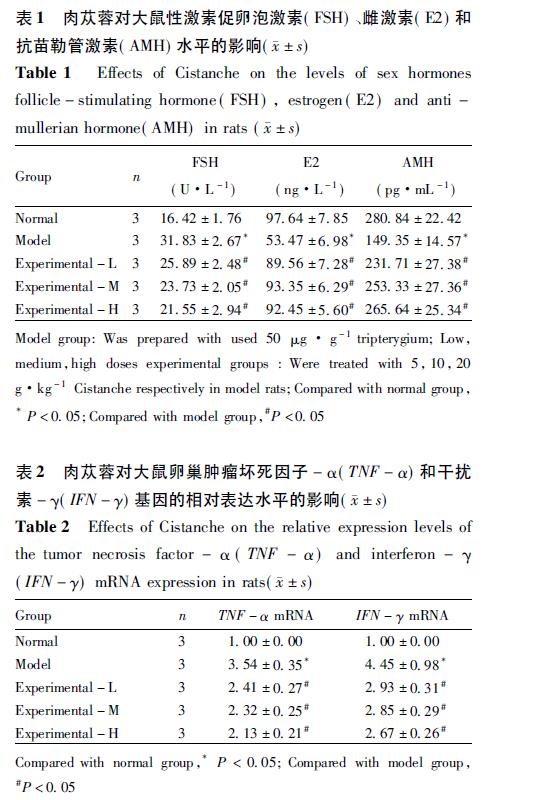 肉苁蓉 www.www.y7k.org