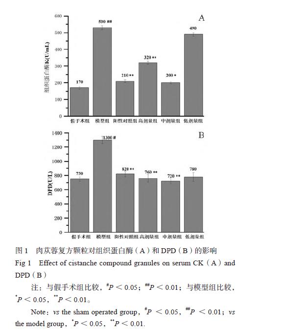 肉苁蓉 www.www.y7k.org
