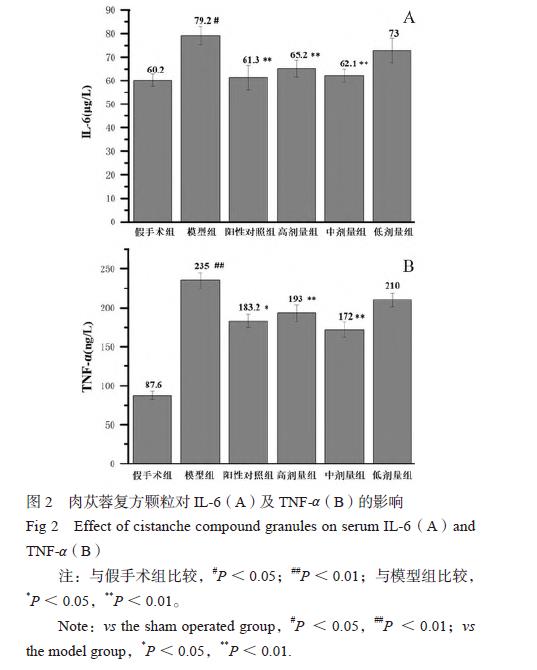 肉苁蓉 www.www.y7k.org