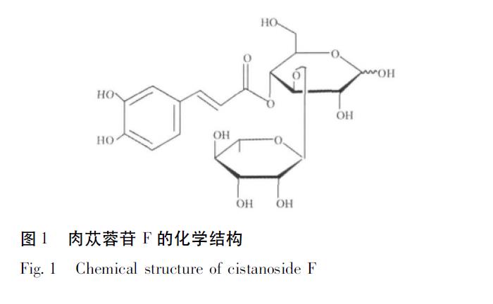 肉苁蓉 www.www.y7k.org