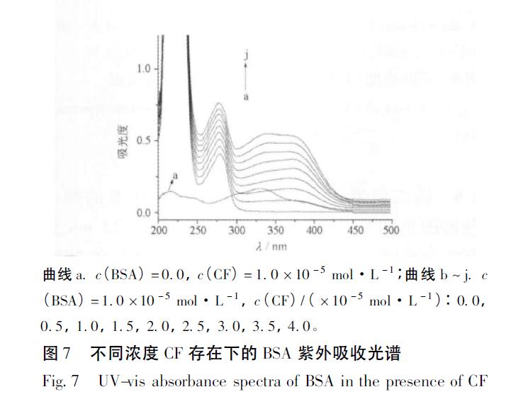 肉苁蓉 www.www.y7k.org