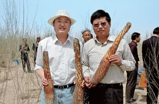 1640924700128152.png 3001.png