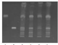 1641269089812655.png image.png