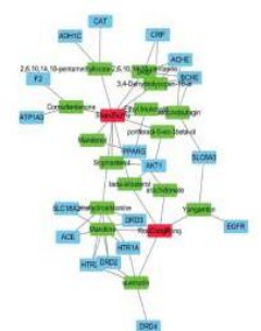 1641271410111551.png image.png