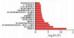 1641271525102880.png image.png