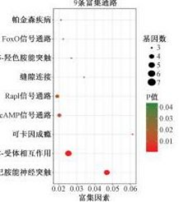 1641271544132374.png image.png