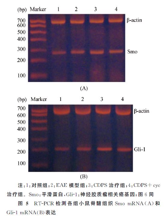 1641352956250961.jpg 微信截图_20220105112229.jpg