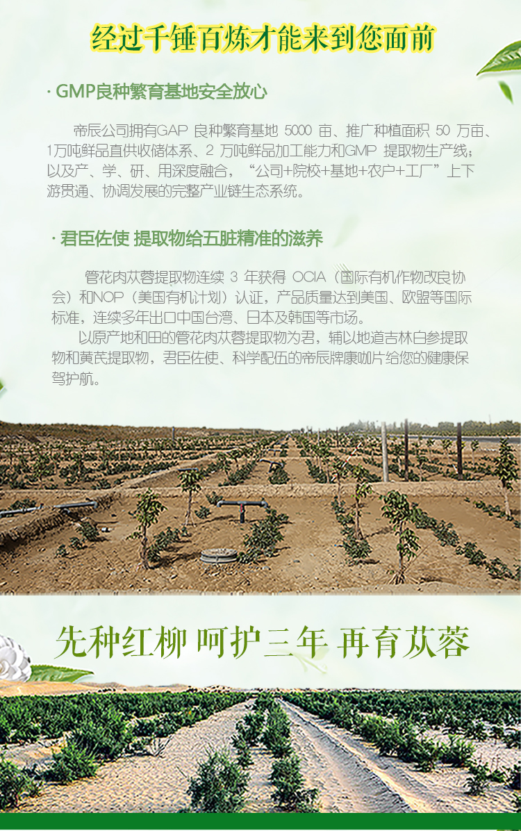 新银樽_04.jpg