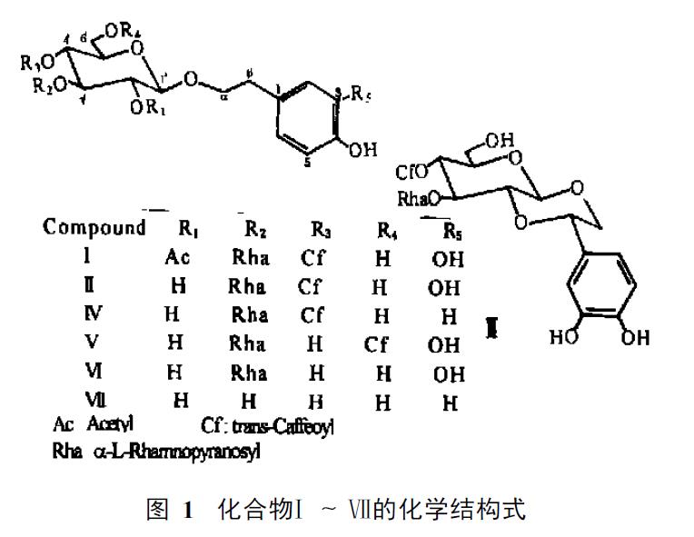 肉苁蓉 www.www.y7k.org